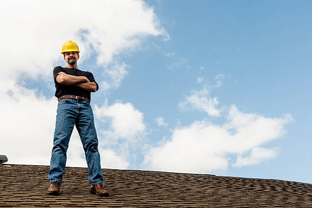 Best Roof Gutter Cleaning  in Brockway, PA